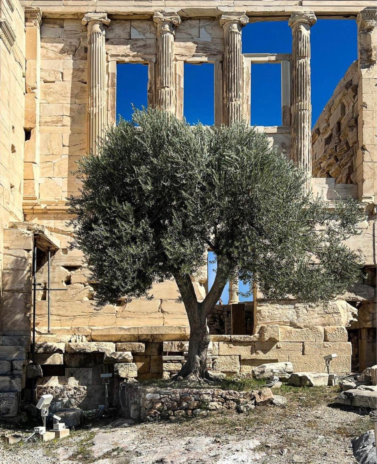 Appartement Tout Confort Αθήνα Εξωτερικό φωτογραφία